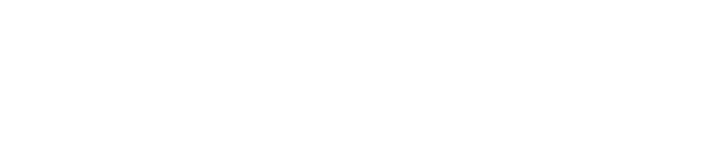 Đại lý LS chính hãng